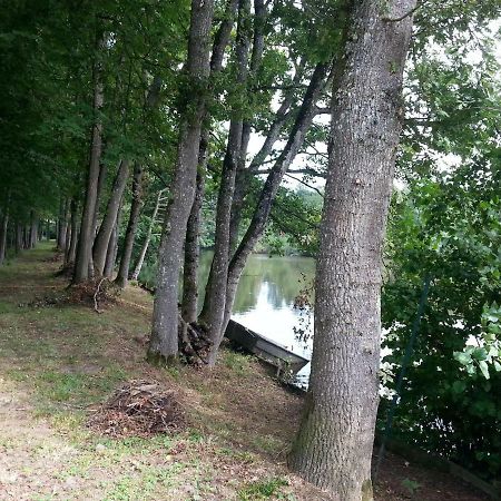 Appartamento Gite des étangs de Saint Bale Vrigne-aux-Bois Camera foto