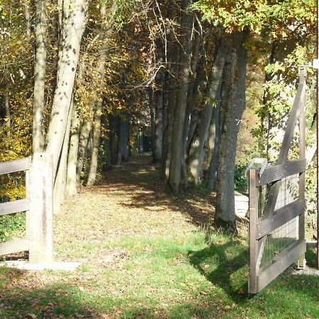 Appartamento Gite des étangs de Saint Bale Vrigne-aux-Bois Esterno foto