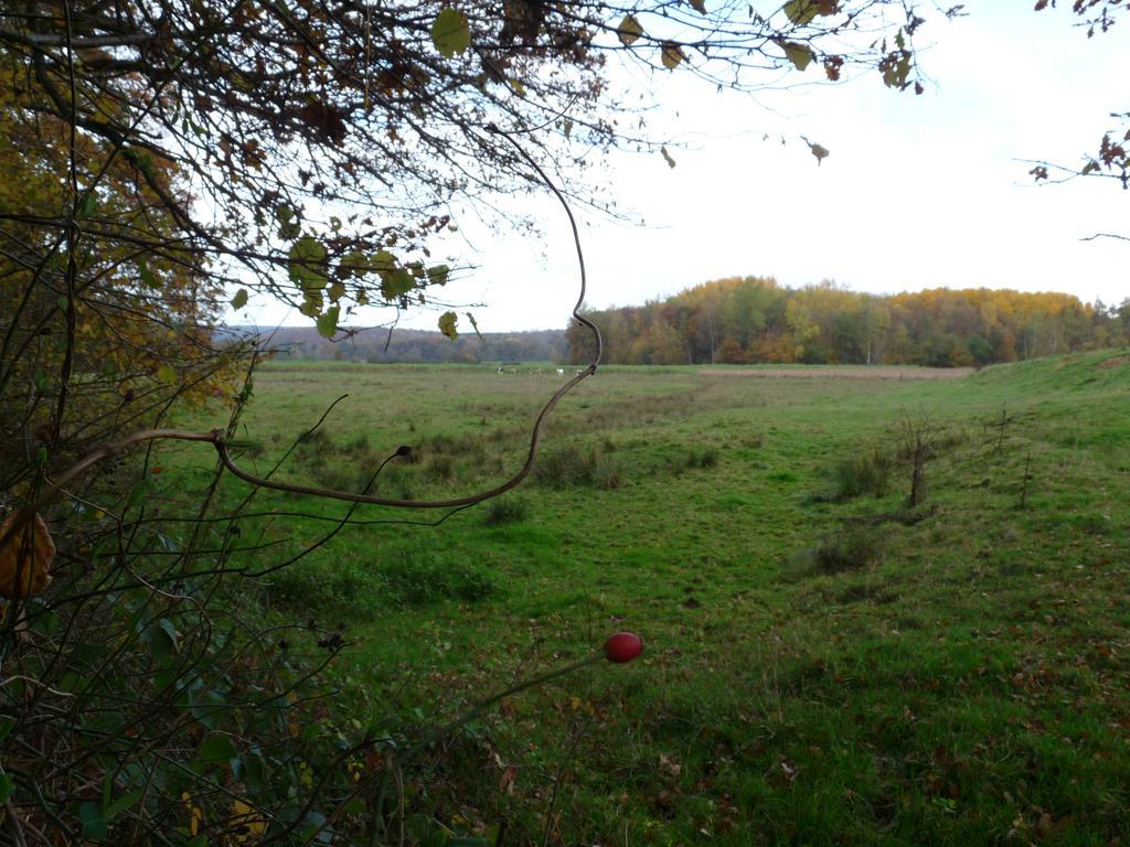 Appartamento Gite des étangs de Saint Bale Vrigne-aux-Bois Esterno foto