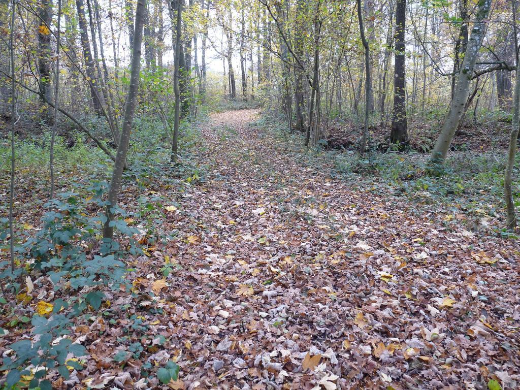 Appartamento Gite des étangs de Saint Bale Vrigne-aux-Bois Esterno foto