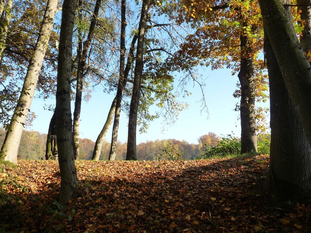 Appartamento Gite des étangs de Saint Bale Vrigne-aux-Bois Esterno foto