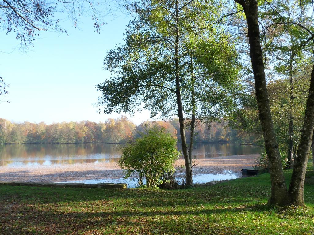 Appartamento Gite des étangs de Saint Bale Vrigne-aux-Bois Esterno foto