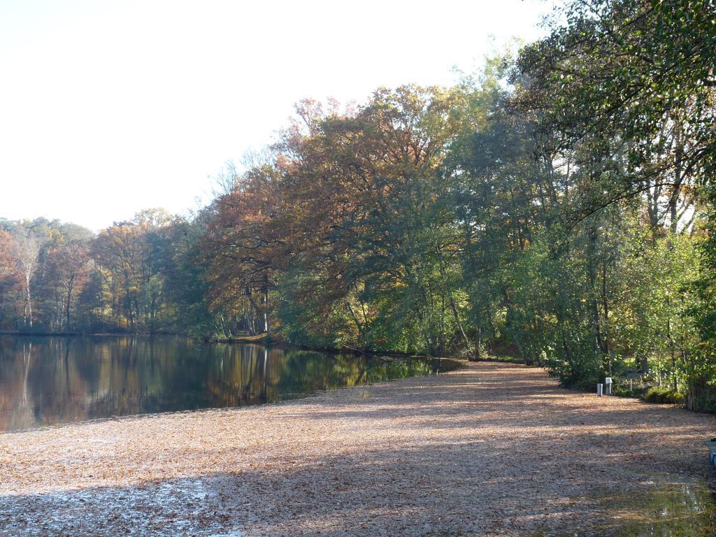 Appartamento Gite des étangs de Saint Bale Vrigne-aux-Bois Esterno foto