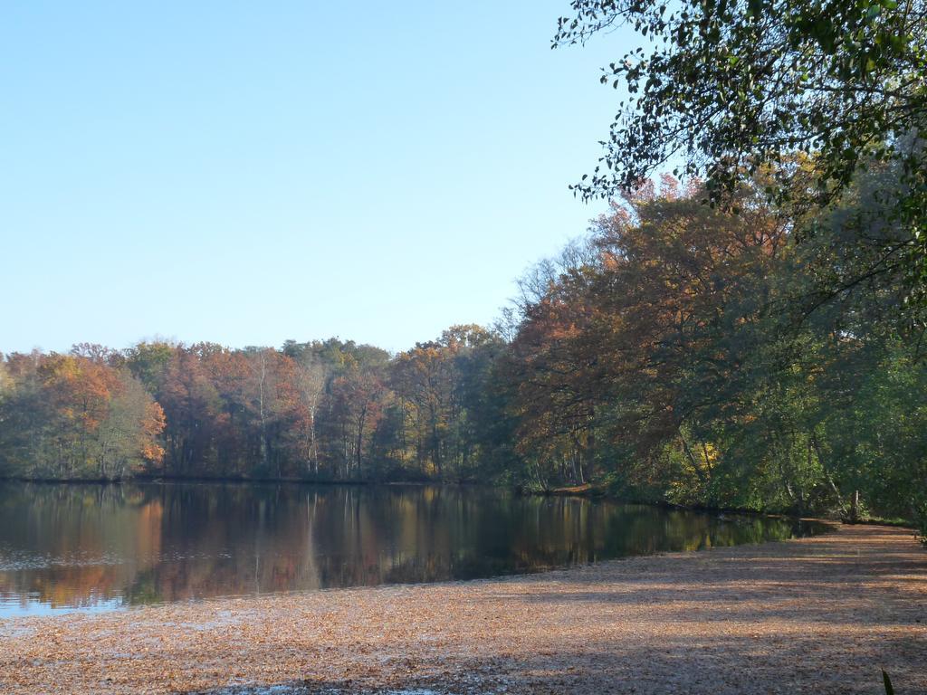 Appartamento Gite des étangs de Saint Bale Vrigne-aux-Bois Esterno foto