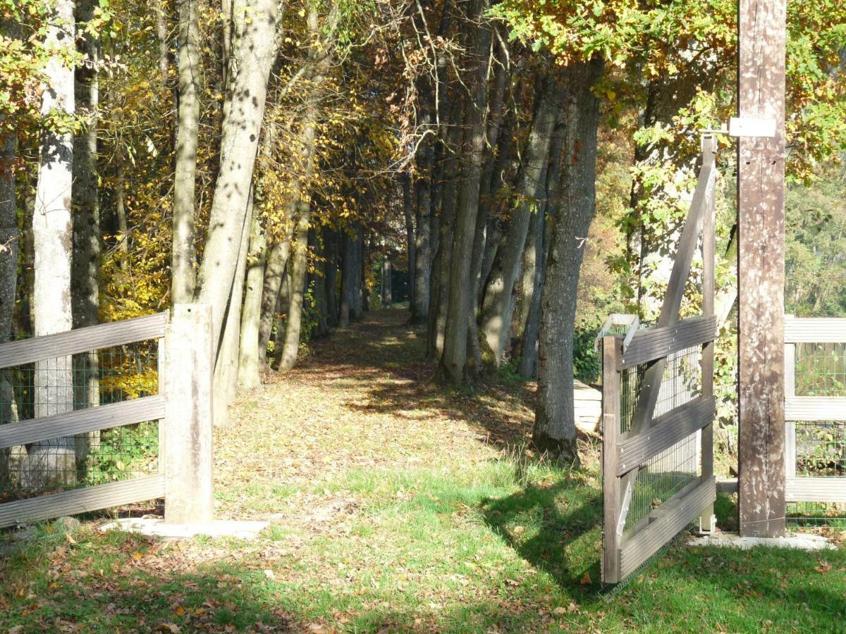 Appartamento Gite des étangs de Saint Bale Vrigne-aux-Bois Esterno foto