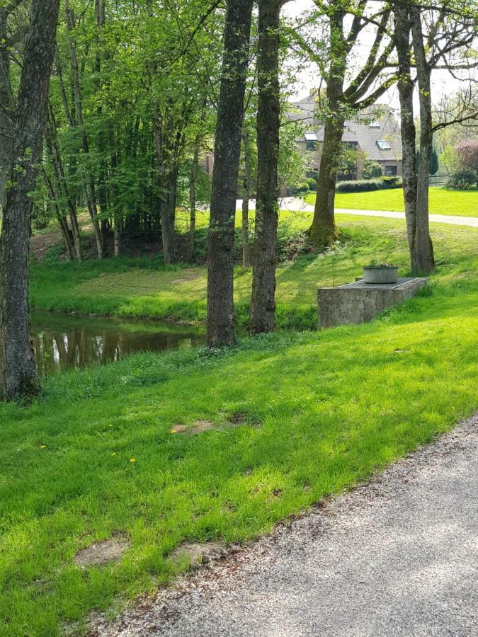 Appartamento Gite des étangs de Saint Bale Vrigne-aux-Bois Esterno foto