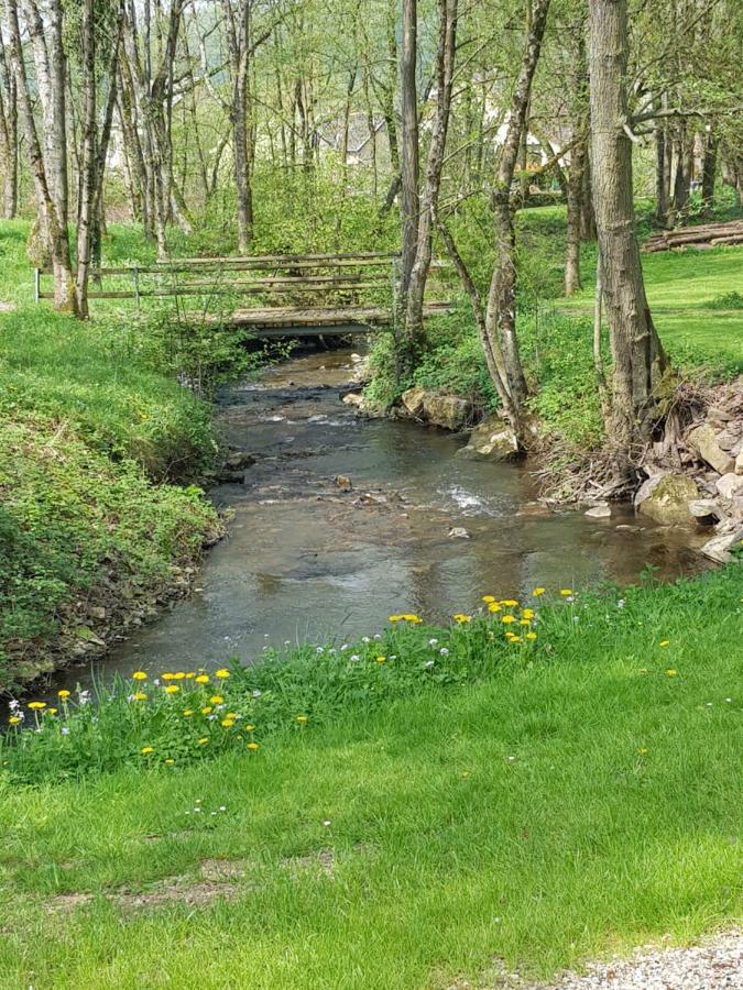 Appartamento Gite des étangs de Saint Bale Vrigne-aux-Bois Esterno foto