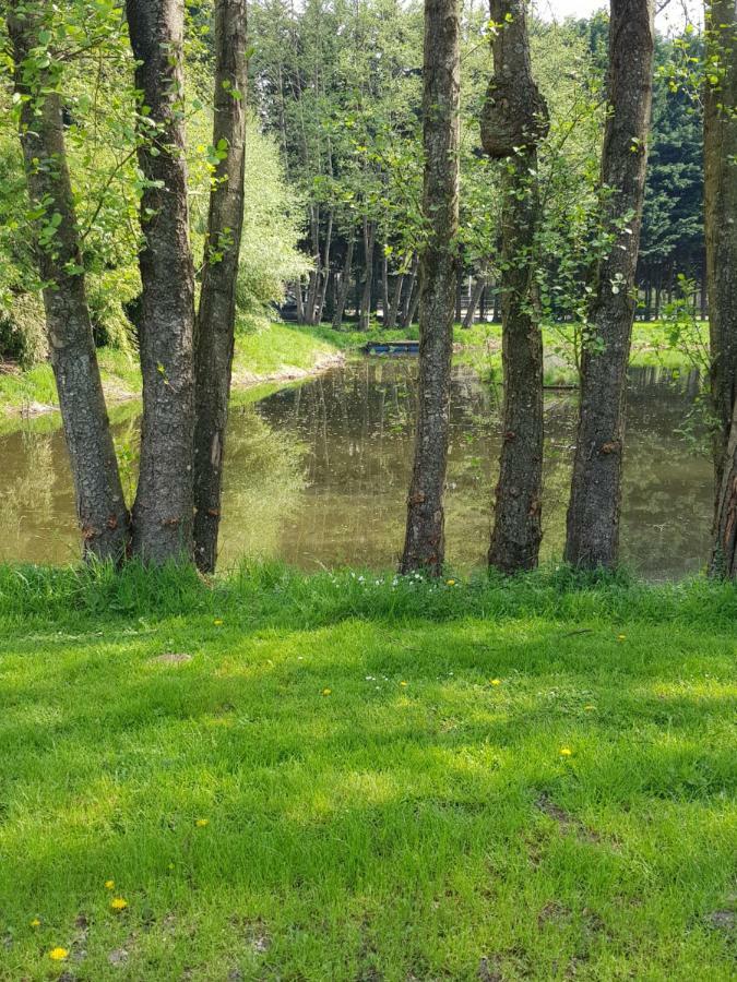 Appartamento Gite des étangs de Saint Bale Vrigne-aux-Bois Esterno foto