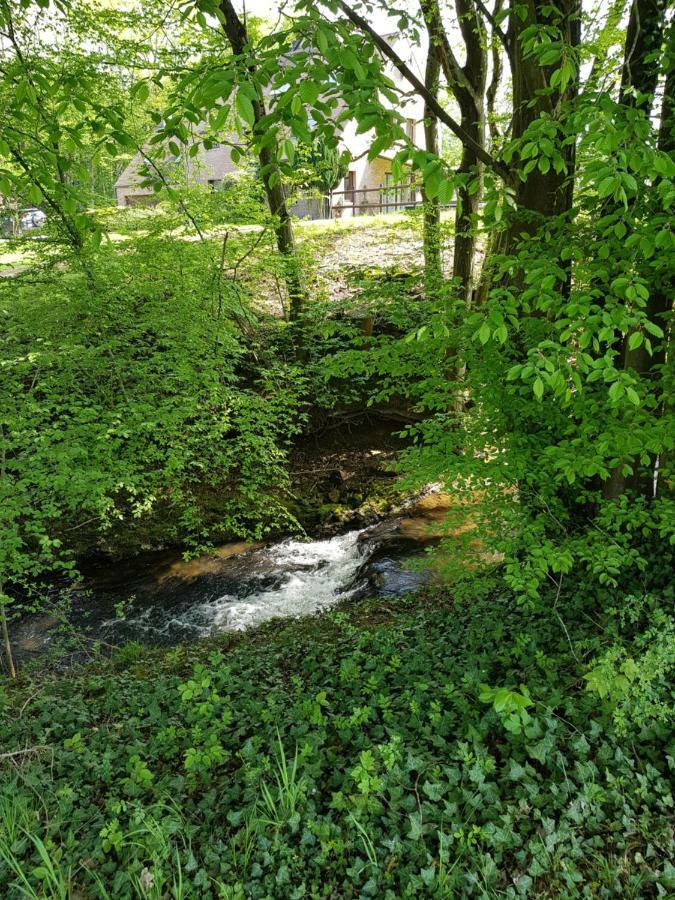 Appartamento Gite des étangs de Saint Bale Vrigne-aux-Bois Esterno foto