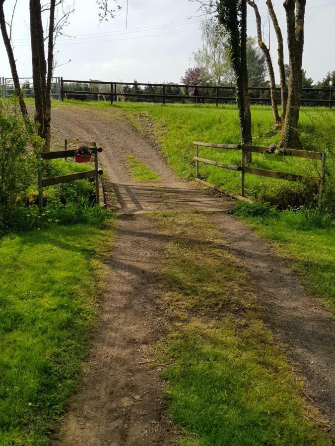 Appartamento Gite des étangs de Saint Bale Vrigne-aux-Bois Esterno foto