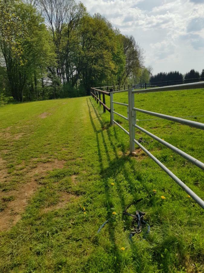 Appartamento Gite des étangs de Saint Bale Vrigne-aux-Bois Esterno foto